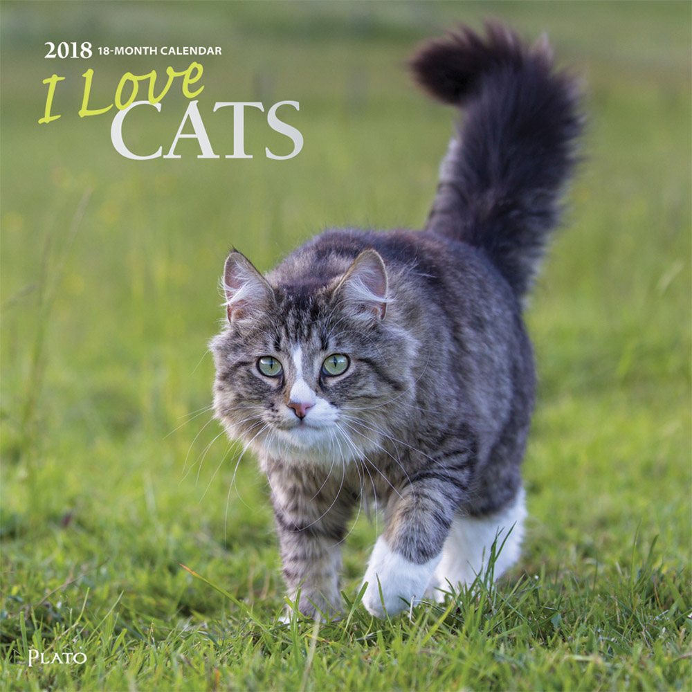 I Love Cats 2018 Square Wall Calendar Front Cover - Plato Calendars All Rights Reserved
