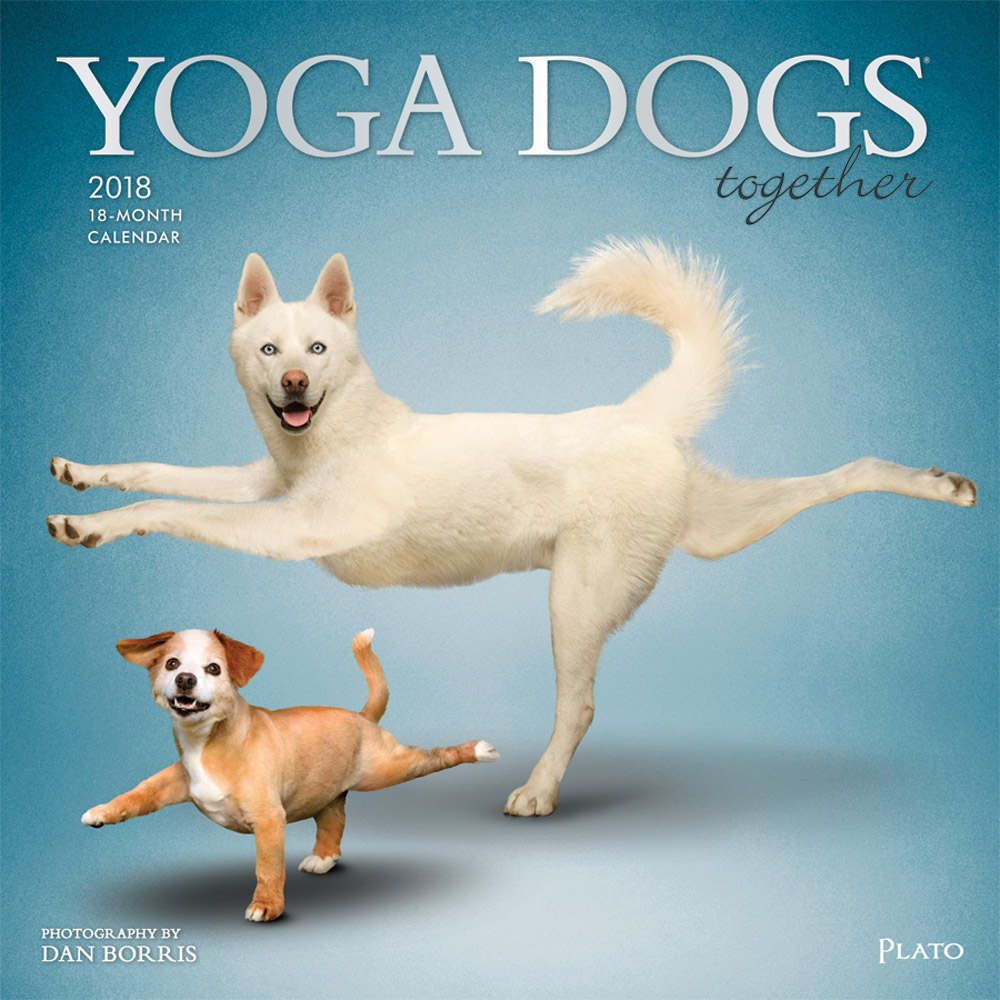 Yoga Dogs 2018 Square Wall Calendar Front Cover - Plato Calendars All Rights Reserved