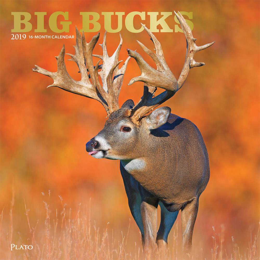 Big Bucks 2019 12 x 12 Inch Monthly Square Wall Calendar with Foil Stamped Cover by Plato, Wildlife Animals Forest Hunting