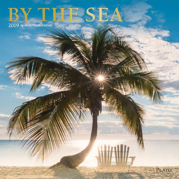 By the Sea 2019 12 x 12 Inch Monthly Square Wall Calendar with Foil Stamped Cover by Plato, Waves Sun Clear Blue Sky