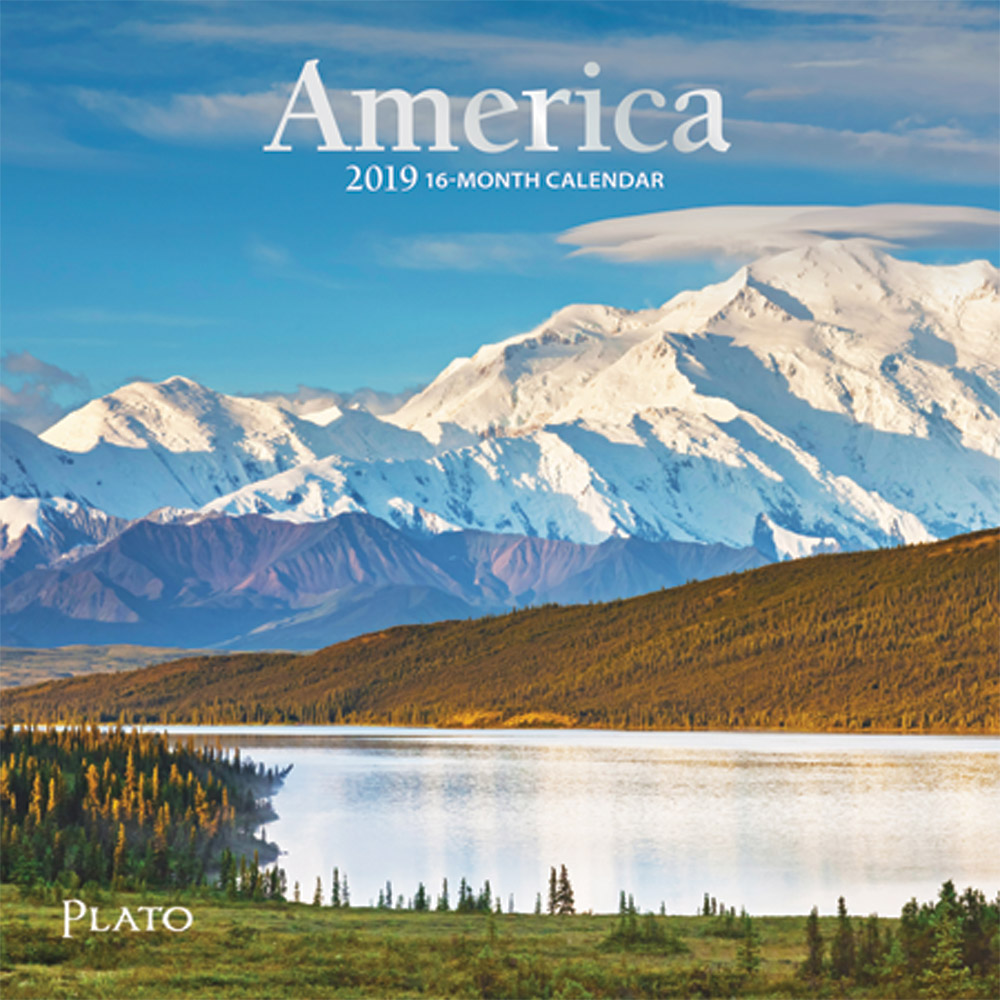 America 2019 7 x 7 Inch Monthly Mini Wall Calendar with Foil Stamped Cover by Plato, USA United States