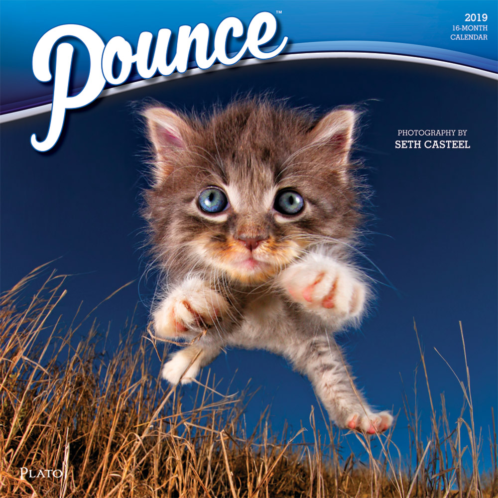 Pounce 2019 12 x 12 Inch Monthly Square Wall Calendar by Plato, Kitten Humor