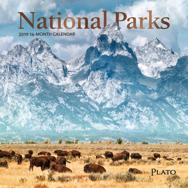 National Parks 2019 7 x 7 Inch Monthly Mini Wall Calendar with Foil Stamped Cover by Plato, USA United States of America Scenic Nature