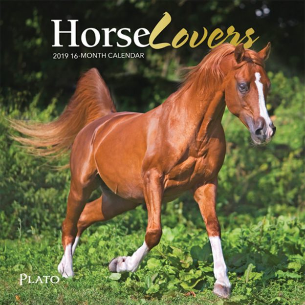 Horse Lovers 2019 7 x 7 Inch Monthly Mini Wall Calendar with Foil Stamped Cover by Plato, Animals Horses