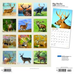 Big Bucks 2020 12 x 12 Inch Monthly Square Wall Calendar with Foil Stamped Cover by Plato, Wildlife Animals Forest Hunting