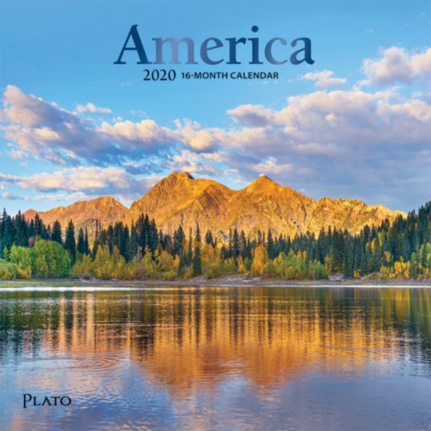 America 2020 7 x 7 Inch Monthly Mini Wall Calendar with Foil Stamped Cover by Plato, USA United States