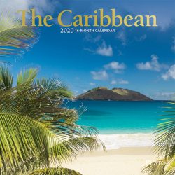 The Caribbean 2020 7 x 7 Inch Monthly Mini Wall Calendar with Foil Stamped Cover by Plato, Travel Nature Beach Tropical