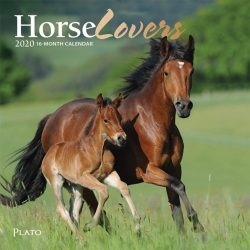 Horse Lovers 2020 7 x 7 Inch Monthly Mini Wall Calendar with Foil Stamped Cover by Plato, Animals Horses
