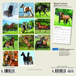 Horse Lovers 2020 7 x 7 Inch Monthly Mini Wall Calendar with Foil Stamped Cover by Plato, Animals Horses