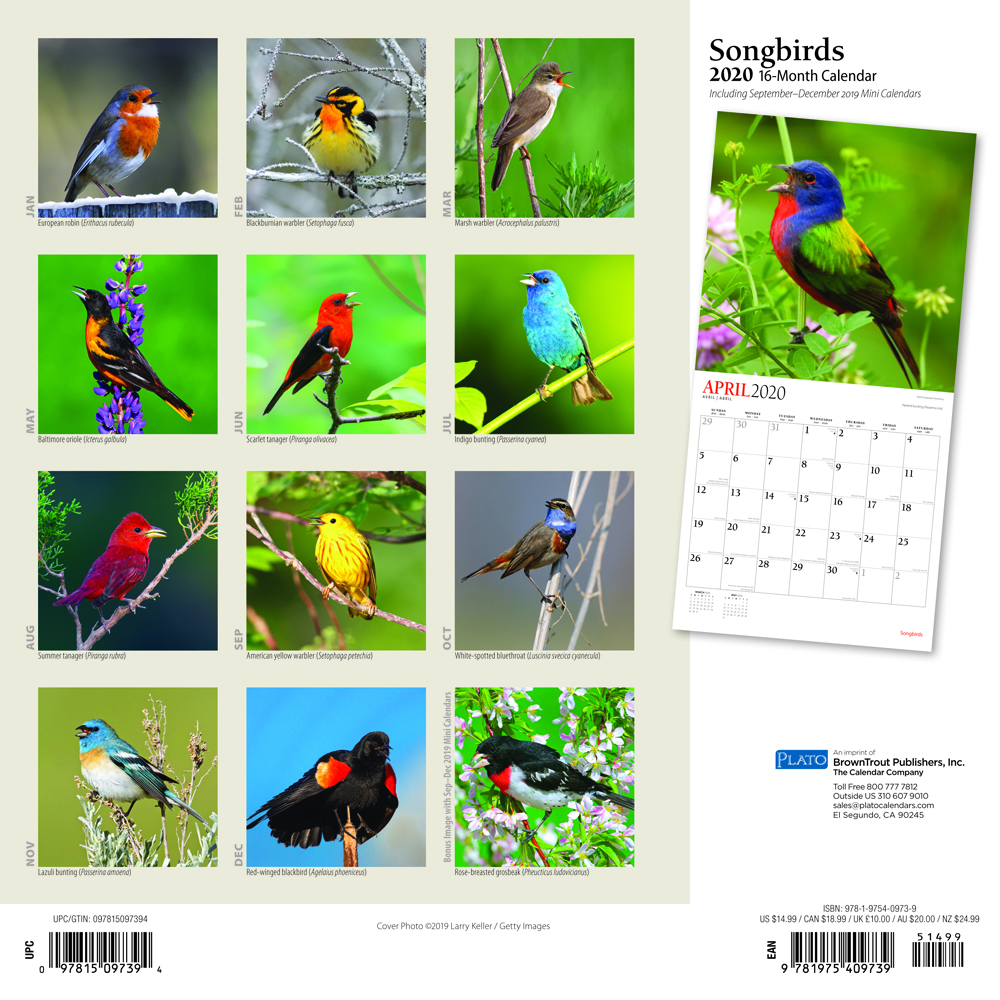 I Like Birds 2020-16 Month Square Wall Calendar