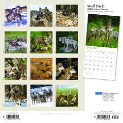 Wolf Pack 2020 12 x 12 Inch Monthly Square Wall Calendar with Foil Stamped Cover by Plato, Wildlife Animals