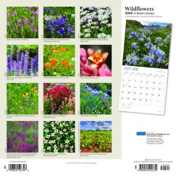 Wildflowers 2020 12 x 12 Inch Monthly Square Wall Calendar with Foil Stamped Cover by Plato, Flower Outdoor Plant