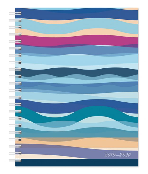 Seaside Currents 2020 6 x 7.75 Inch Weekly 18 Months Desk Planner by Plato, Planning Stationery
