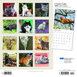 I Love Cats 2020 12 x 12 Inch Monthly Square Wall Calendar with Foil Stamped Cover by Plato, Feline Cat