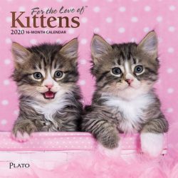 For the Love of Kittens 2020 7 x 7 Inch Monthly Mini Wall Calendar with Foil Stamped Cover by Plato, Animals Cats Kittens Feline
