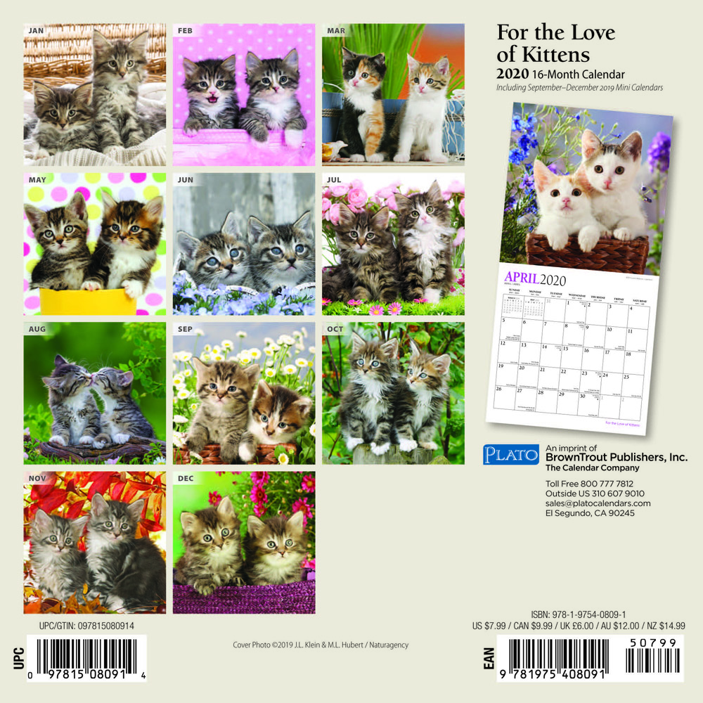 For the Love of Kittens 2020 Mini Wall Calendar by Plato | Plato Calendars