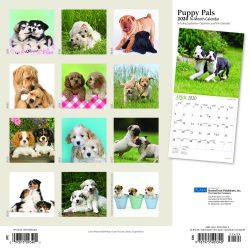 Puppy Pals 2020 12 x 12 Inch Monthly Square Wall Calendar with Foil Stamped Cover by Plato, Animals Dog Breeds Puppies