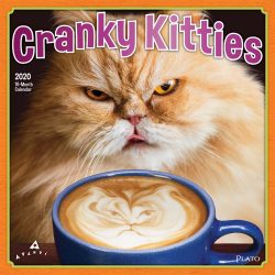 Avanti Cranky Kitties 2020 12 x 12 Inch Monthly Square Wall Calendar with Foil Stamped Cover by Plato, Angry Cat Humor