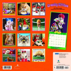 Avanti Cranky Kitties 2020 12 x 12 Inch Monthly Square Wall Calendar with Foil Stamped Cover by Plato, Angry Cat Humor