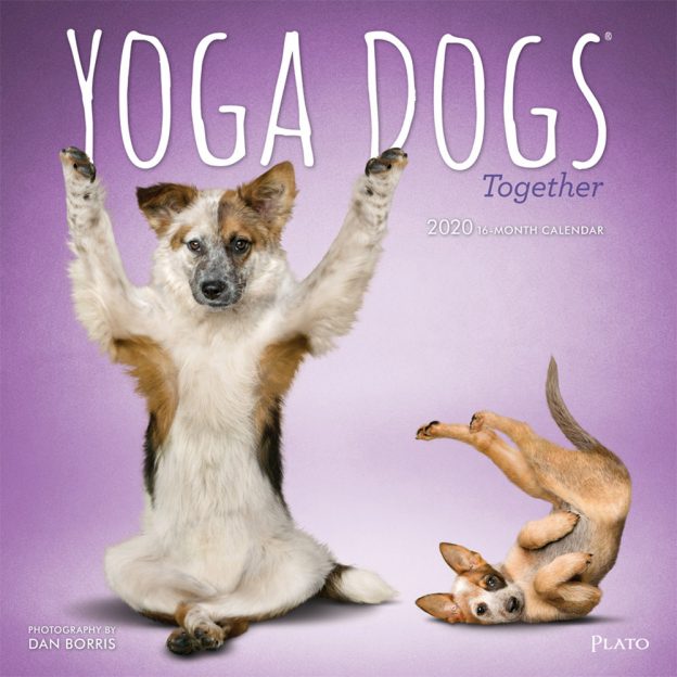 Yoga Dogs Together 2020 12 x 12 Inch Monthly Square Wall Calendar by Plato, Animals Humor Dog
