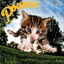Pounce 2020 12 x 12 Inch Monthly Square Wall Calendar by Plato, Kitten Humor