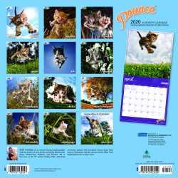 Pounce 2020 12 x 12 Inch Monthly Square Wall Calendar by Plato, Kitten Humor