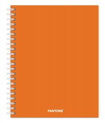 Pantone™ 2020 6 x 7.75 Inch Desk Planner from Plato™ Fresh Orange