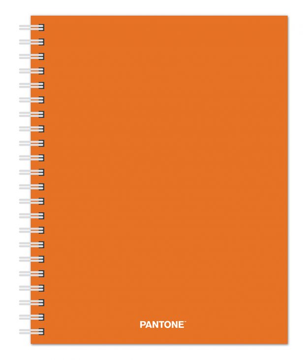 Pantone™ 2020 6 x 7.75 Inch Desk Planner from Plato™ Fresh Orange