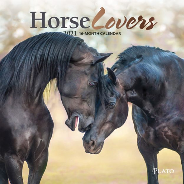 Horse Lovers 2021 7 x 7 Inch Monthly Mini Wall Calendar with Foil Stamped Cover by Plato, Animals Horses