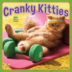 Avanti Cranky Kitties 2021 12 x 12 Inch Monthly Square Wall Calendar with Foil Stamped Cover by Plato, Angry Cat Humor