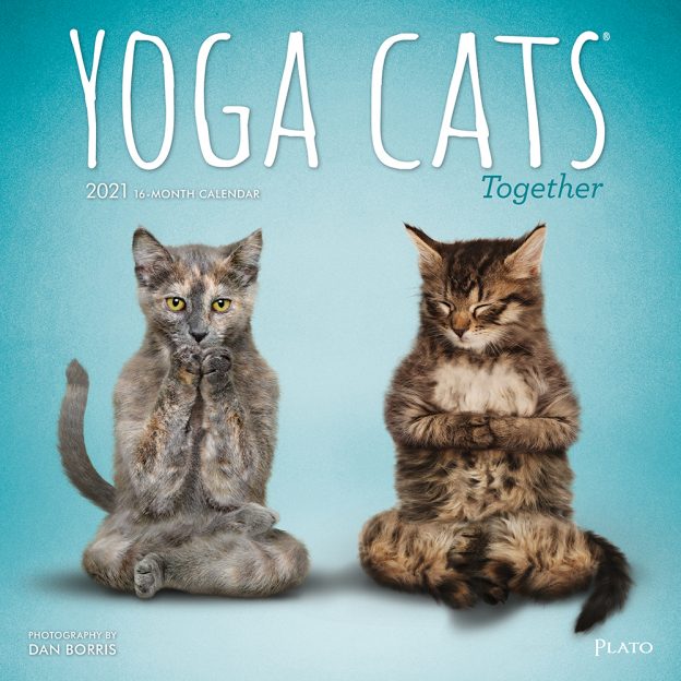 Yoga Cats Together 2021 12 x 12 Inch Monthly Square Wall Calendar by Plato, Animals Humor Cat