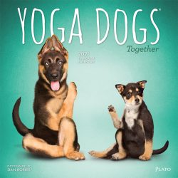 Yoga Dogs Together 2021 12 x 12 Inch Monthly Square Wall Calendar by Plato, Animals Humor Dog