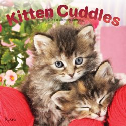 Kitten Cuddles 2021 12 x 12 Inch Monthly Square Wall Calendar with Foil Stamped Cover by Plato, Animals Cute Kittens