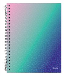 Ariel Collection 2021 6 x 7.75 Inch Weekly Desk Planner by Plato, Planning Stationery