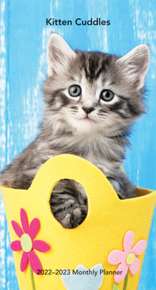 Kitten Cuddles 2022 3.5 x 6.5 Inch Two Year Monthly Pocket Planner by Plato, Animals Cute Cat Feline