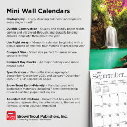 2022 Mini Wall Calendars