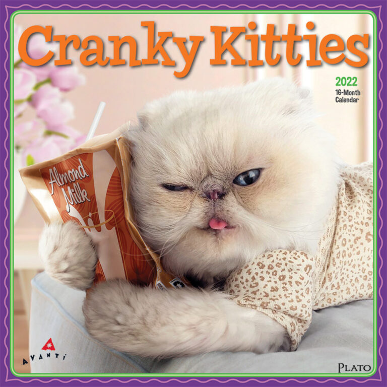 Avanti Cranky Kitties 2022 Square Wall Calendar by Plato Plato Calendars