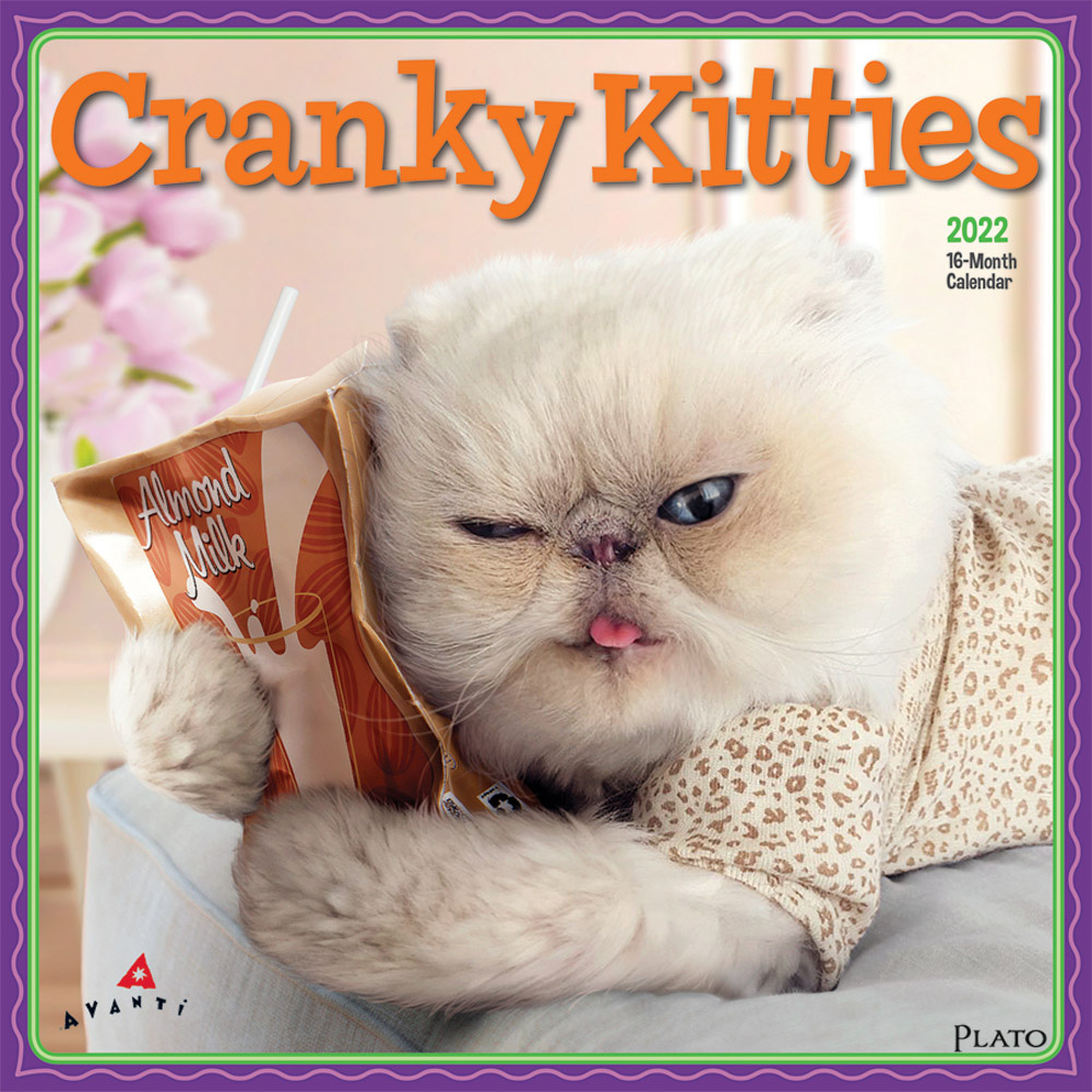 Avanti Cranky Kitties 2022 12 x 12 Inch Monthly Square Wall Calendar by Plato, Angry Cat Humor