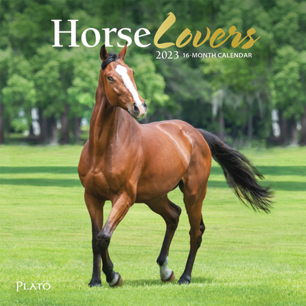 Horse Lovers | 2023 7 x 14 Inch Monthly Mini Wall Calendar | Foil Stamped Cover | Plato | Animals Equestrian