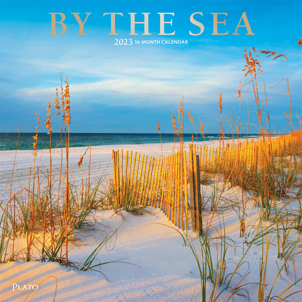 By the Sea | 2023 12 x 24 Inch Monthly Square Wall Calendar | Foil Stamped Cover | Plato | Waves Sun Clear Blue Sky
