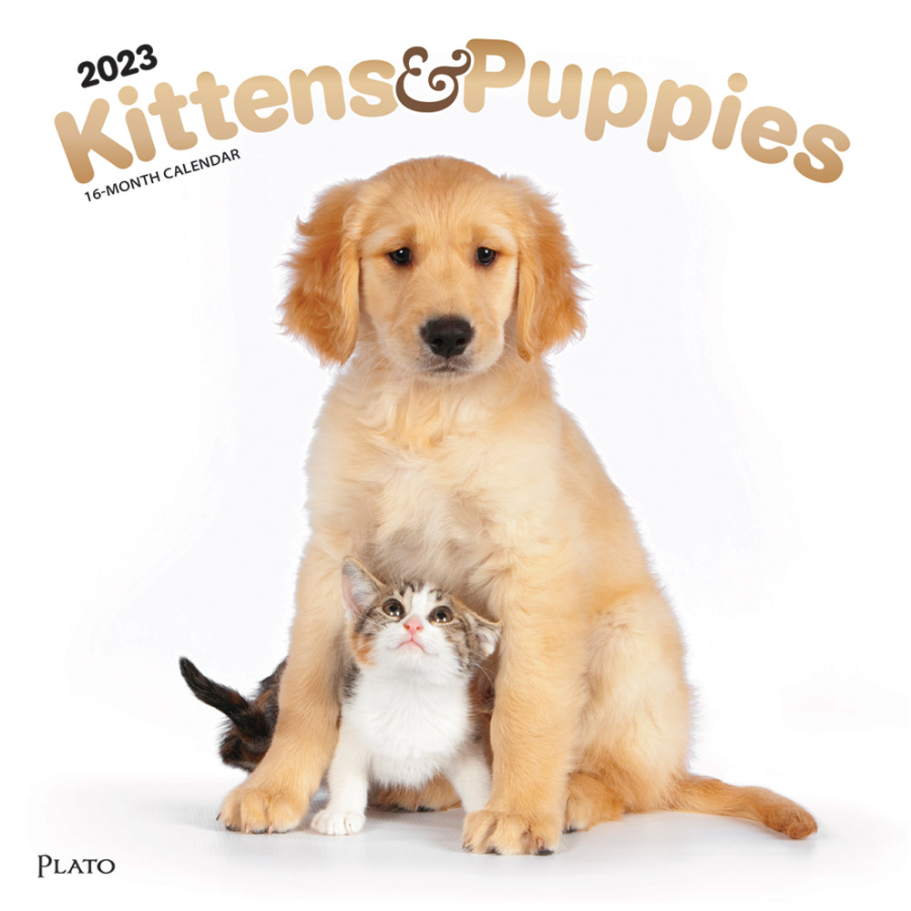 Kittens & Puppies | 2023 12 x 24 Inch Monthly Square Wall Calendar | Foil Stamped Cover | Plato | Animals Cute Kitten Pets