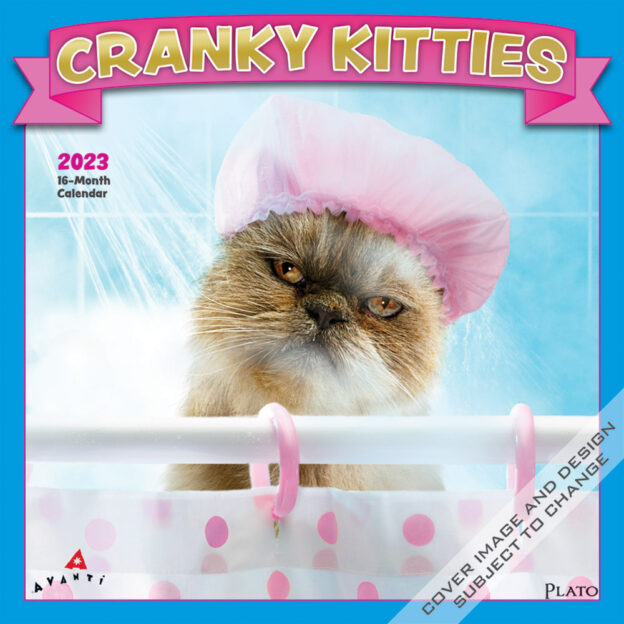 Avanti Cranky Kitties | 2023 12 x 24 Inch Monthly Square Wall Calendar | Plato | Angry Cat Humor
