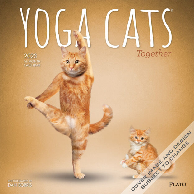 Yoga Cats Together OFFICIAL | 2023 12 x 24 Inch Monthly Square Wall Calendar | Plato | Animals Humor Pets