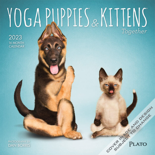 Yoga Puppies & Kittens Together OFFICIAL | 2023 7 x 14 Inch Monthly Mini Wall Calendar | Plato | Animals Dogs Cats Pets
