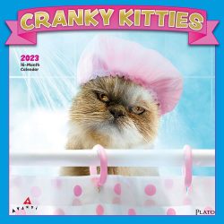 Avanti Cranky Kitties | 2023 12 x 24 Inch Monthly Square Wall Calendar | Plato | Angry Cat Humor