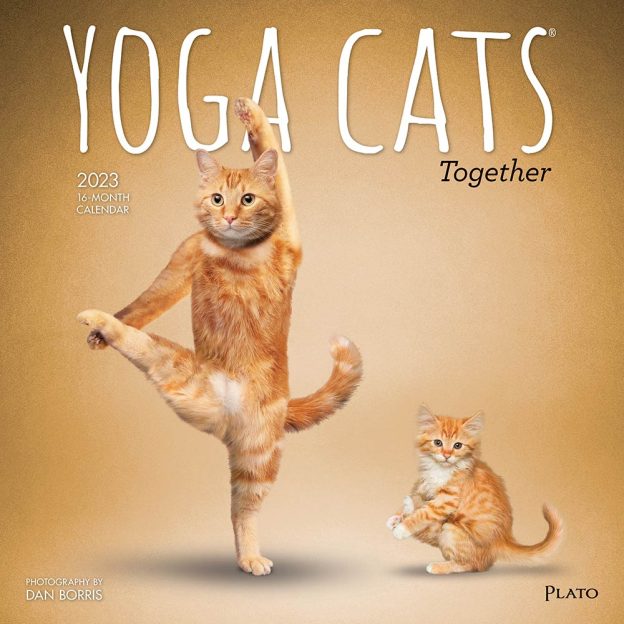 Yoga Cats Together OFFICIAL | 2023 12 x 24 Inch Monthly Square Wall Calendar | Plato | Animals Humor Pets