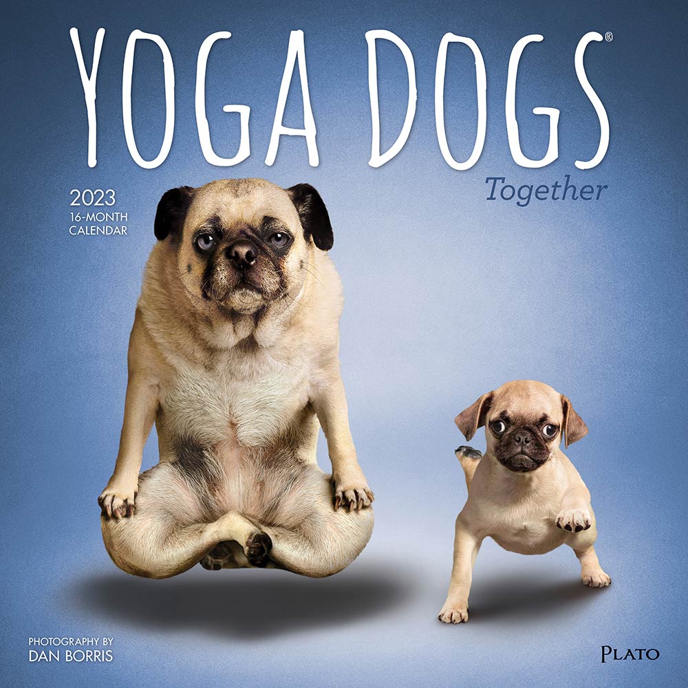 Yoga Dogs Together OFFICIAL | 2023 12 x 24 Inch Monthly Square Wall Calendar | Plato | Animals Humor Pets