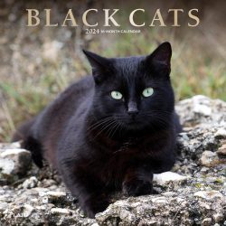 Black Cats | 2024 12 x 24 Inch Monthly Square Wall Calendar | Foil Stamped Cover | Plato | Animals Kittens Feline