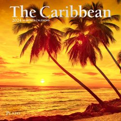 The Caribbean | 2024 7 x 14 Inch Monthly Mini Wall Calendar | Foil Stamped Cover | Plato | Travel Nature Beach Tropical