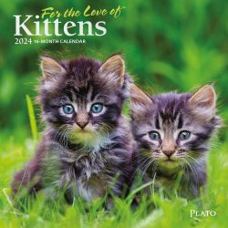For the Love of Kittens | 2024 7 x 14 Inch Monthly Mini Wall Calendar | Foil Stamped Cover | Plato | Animals Cats Feline